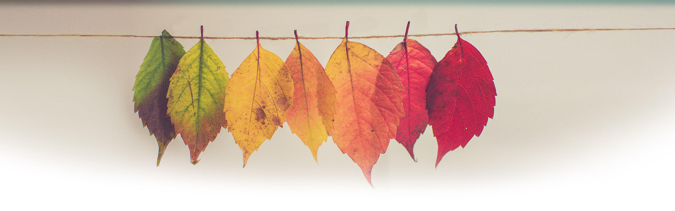 Herbstbild Aktuelle Termine